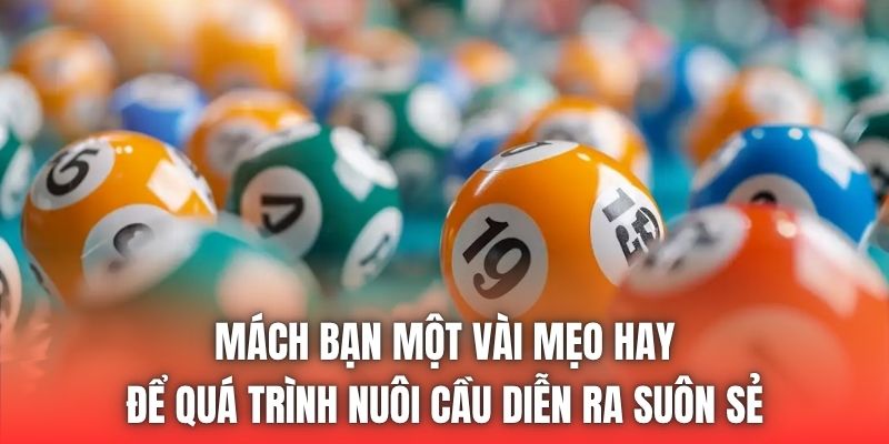 Mách bạn một vài mẹo hay để quá trình nuôi cầu diễn ra suôn sẻ