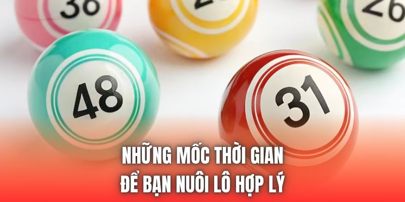 Những mốc thời gian để bạn nuôi lô hợp lý